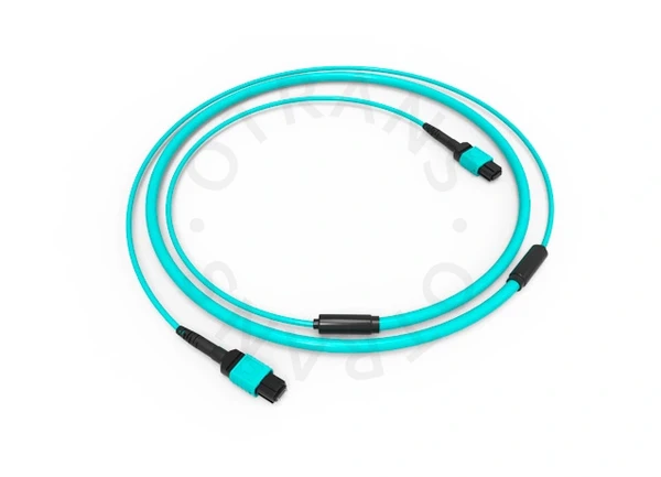 optical patch cord